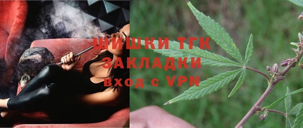индика Беломорск