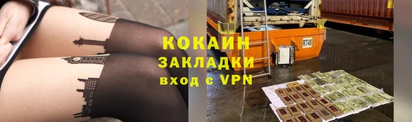 индика Беломорск