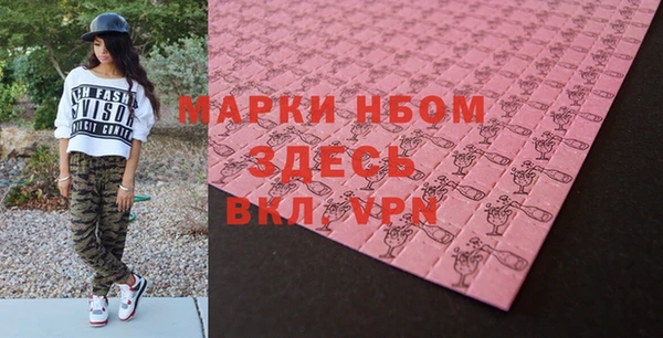 индика Беломорск