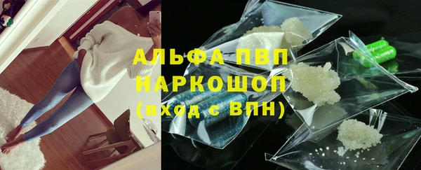 индика Беломорск