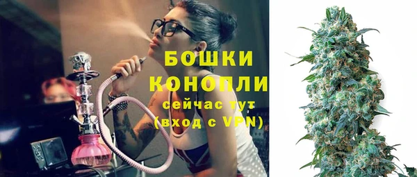 индика Беломорск