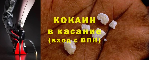 индика Беломорск