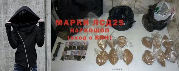 индика Беломорск